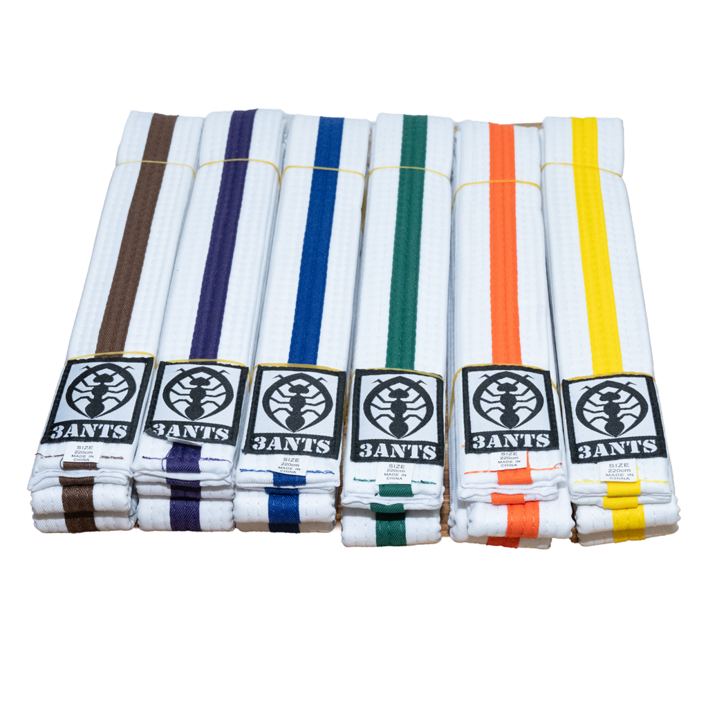 Belt - White Belt with Colour Stripe (3ANTS)