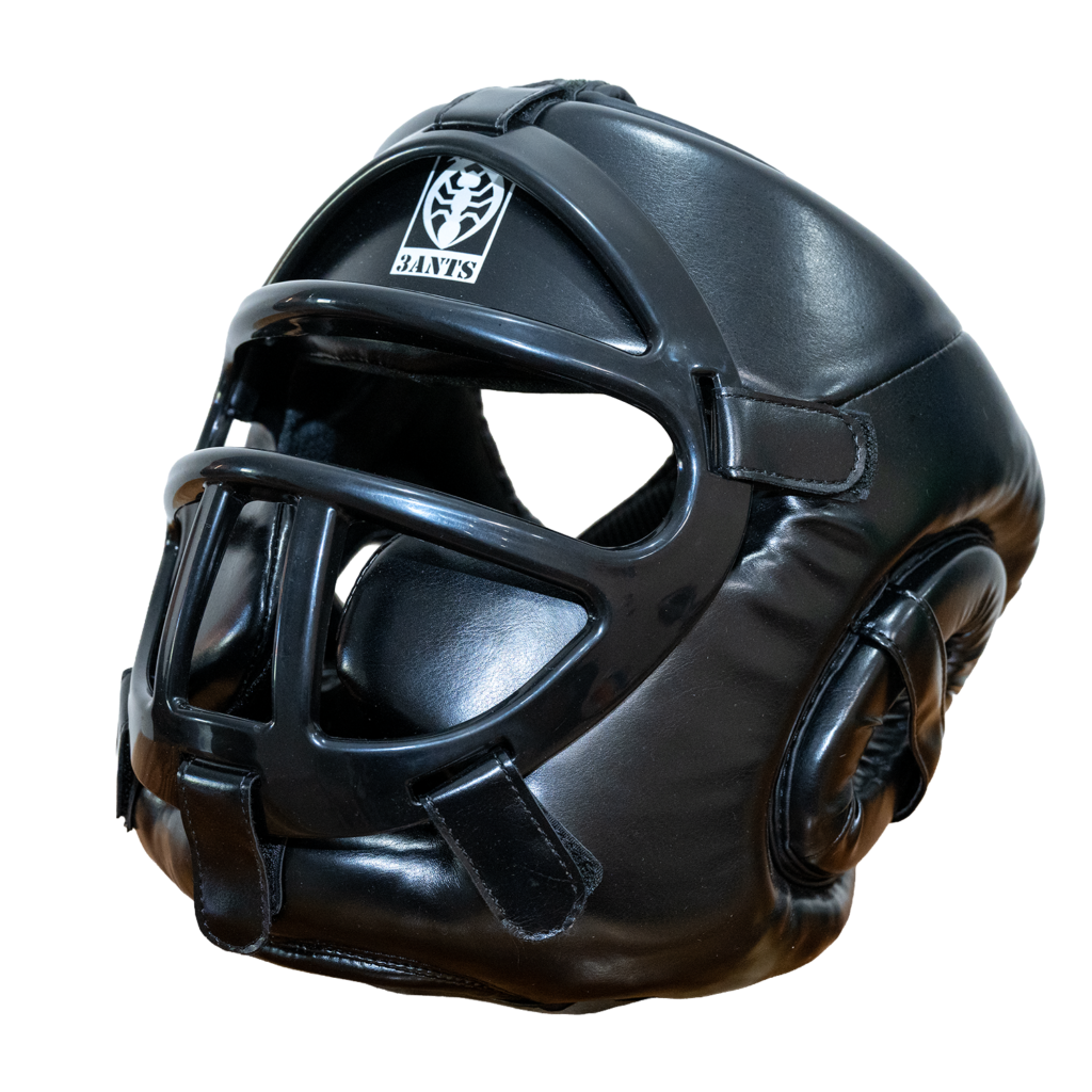 Bogu Head Protection (3 Ants)