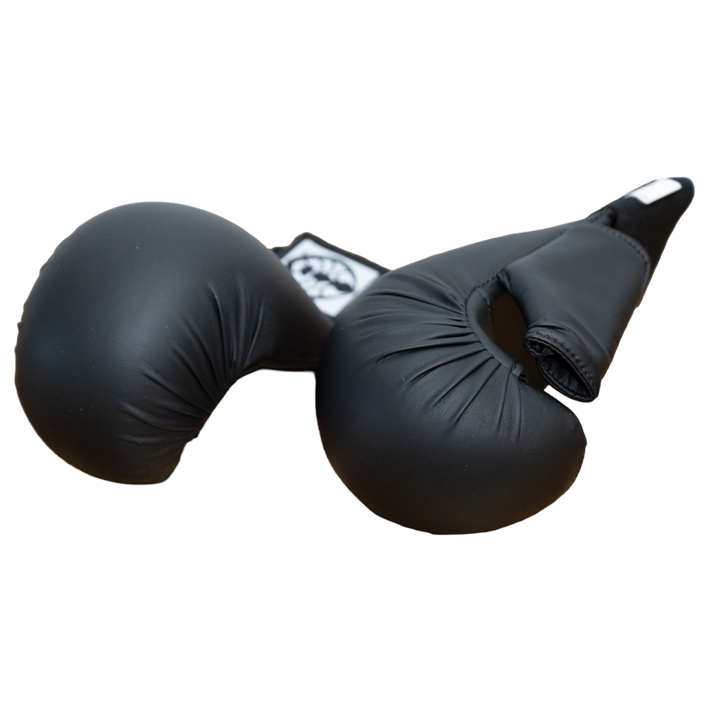 Junior Bogu Kumite Gloves (3 Ants)