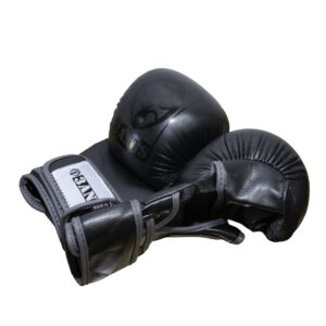 Bogu Kumite Gloves (3ANTS)