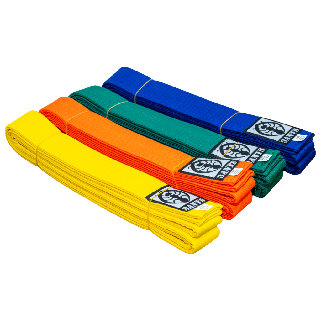 Belt - Colour Belt (3ANTS)