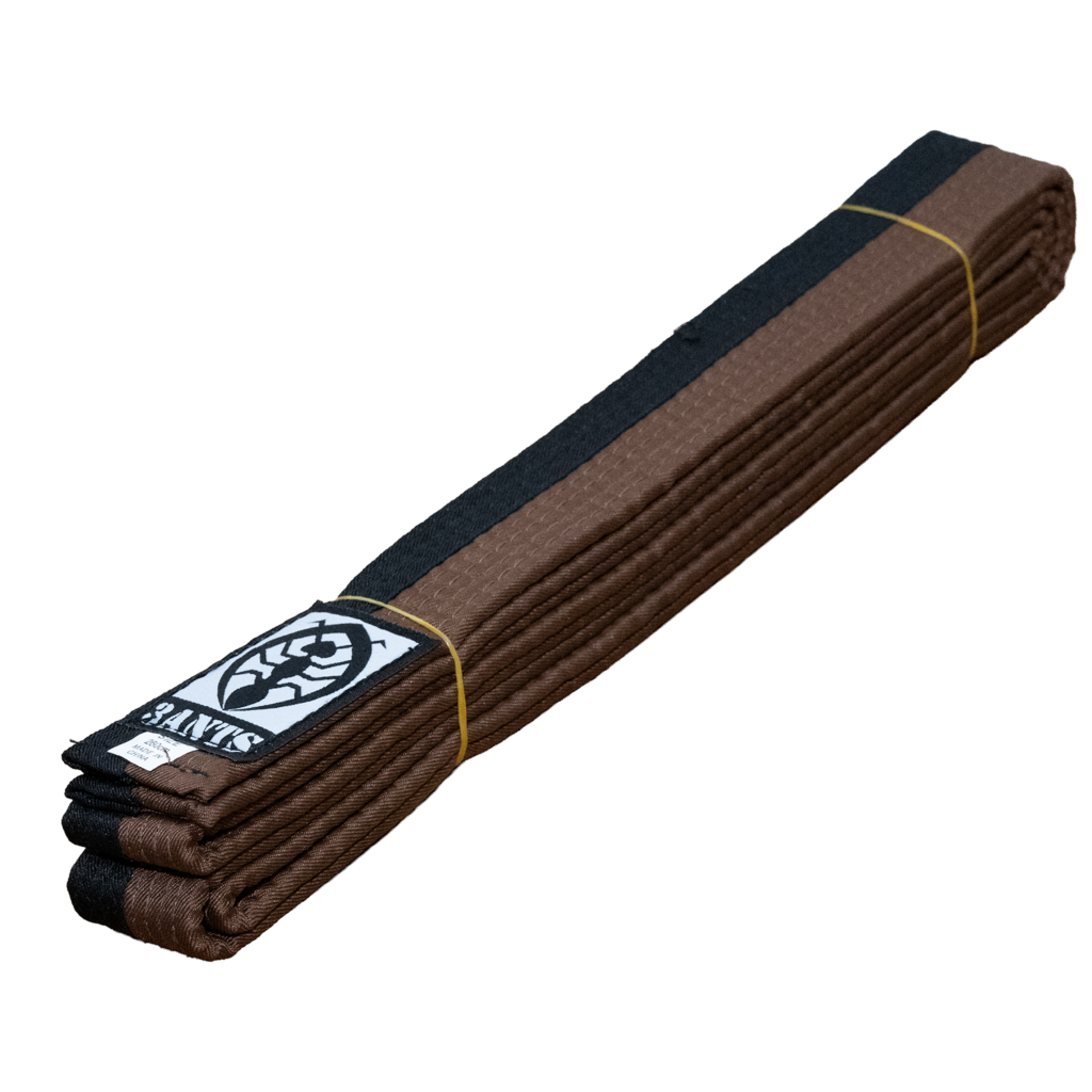 Belt - Brown and Black Belt (3ANTS)