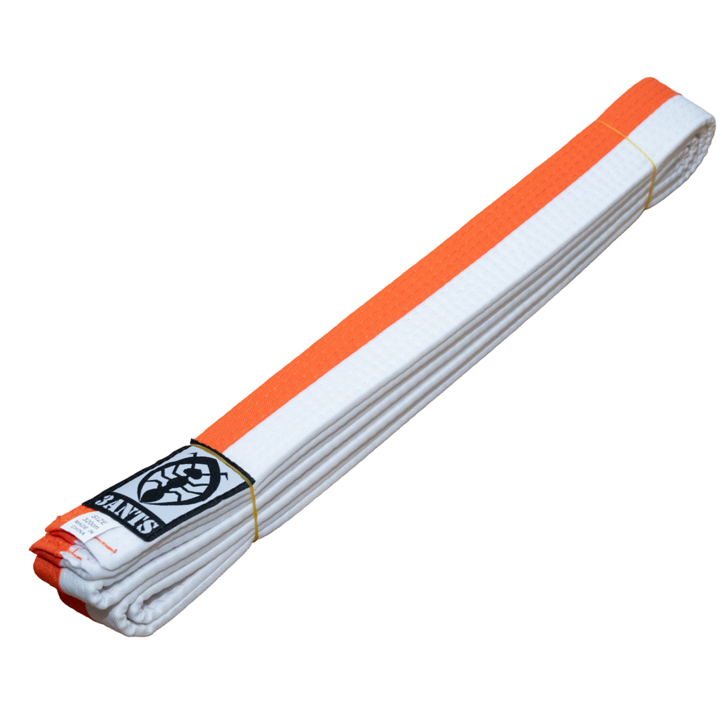 Belt - 2 Tone Belt (3ANTS)